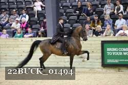 22BUCK_01494 proof