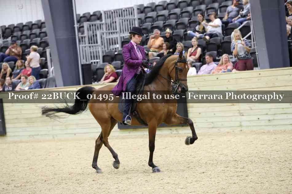 Proof 22BUCK_01495