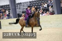 22BUCK_01495 proof