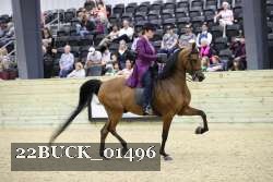 22BUCK_01496 proof