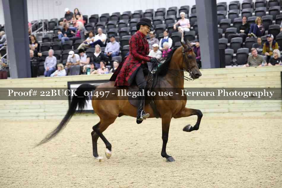 Proof 22BUCK_01497