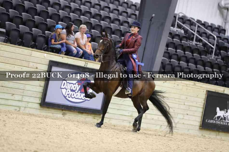 Proof 22BUCK_01498