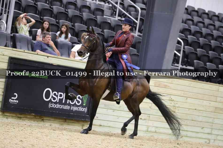 Proof 22BUCK_01499