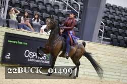22BUCK_01499 proof
