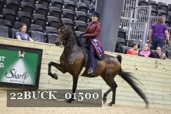 22BUCK_01500 proof