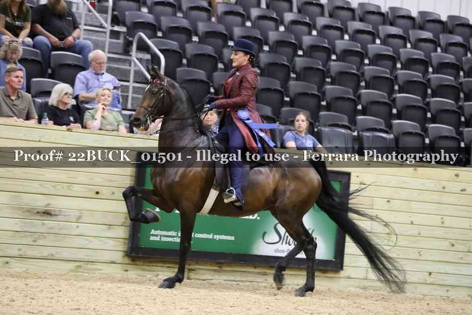 Proof 22BUCK_01501