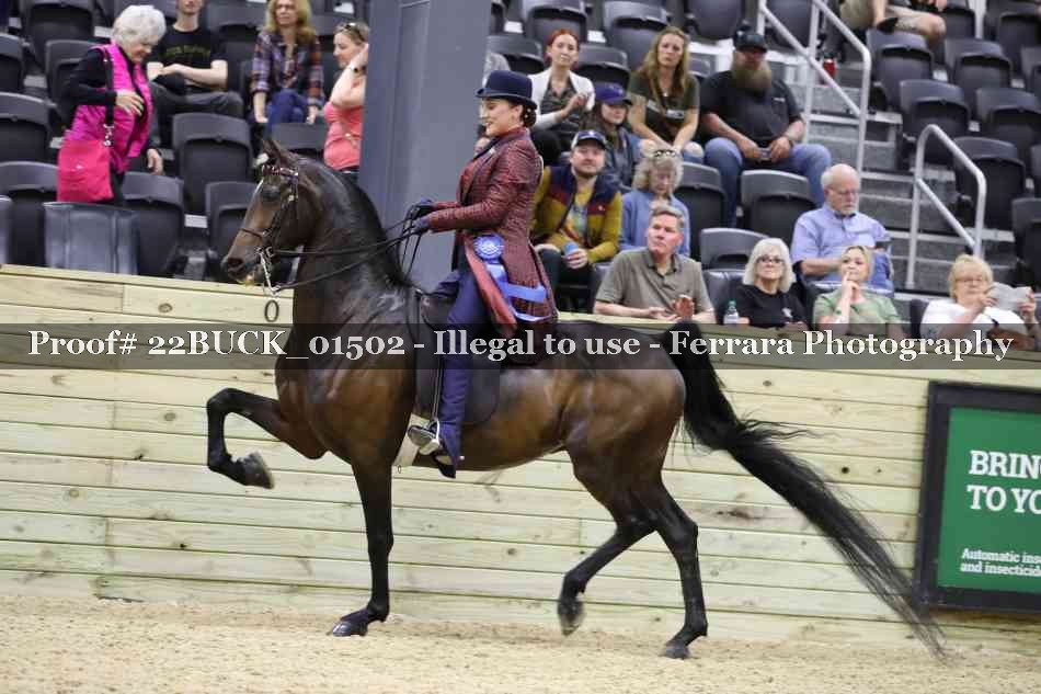 Proof 22BUCK_01502
