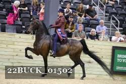 22BUCK_01502 proof