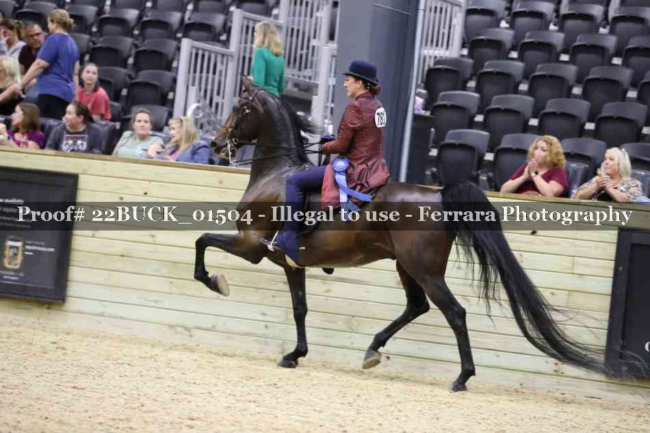 Proof 22BUCK_01504