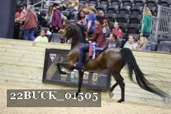 22BUCK_01505 proof