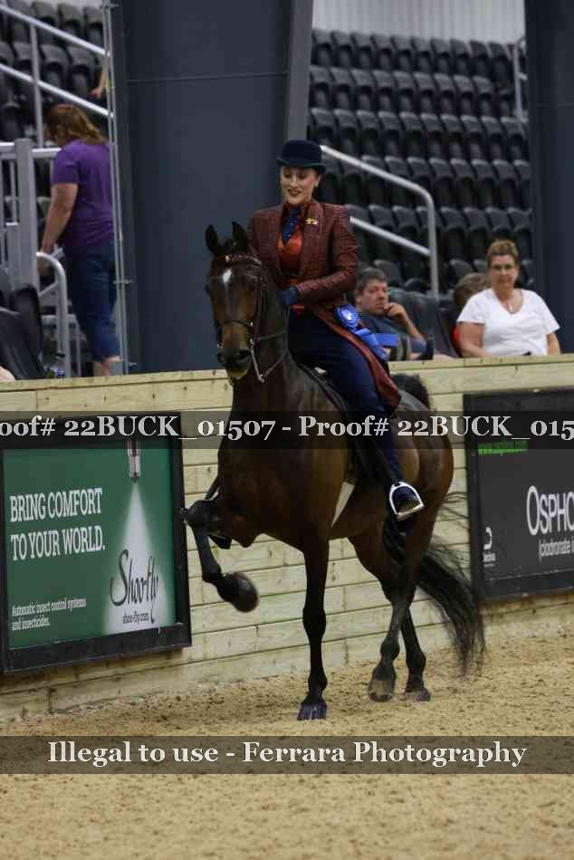 Proof 22BUCK_01507