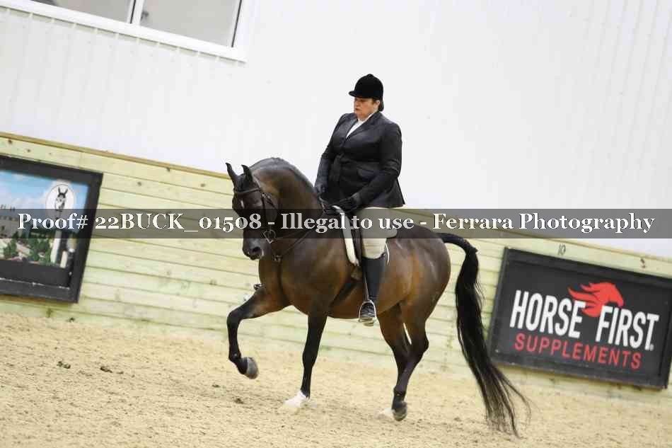 Proof 22BUCK_01508
