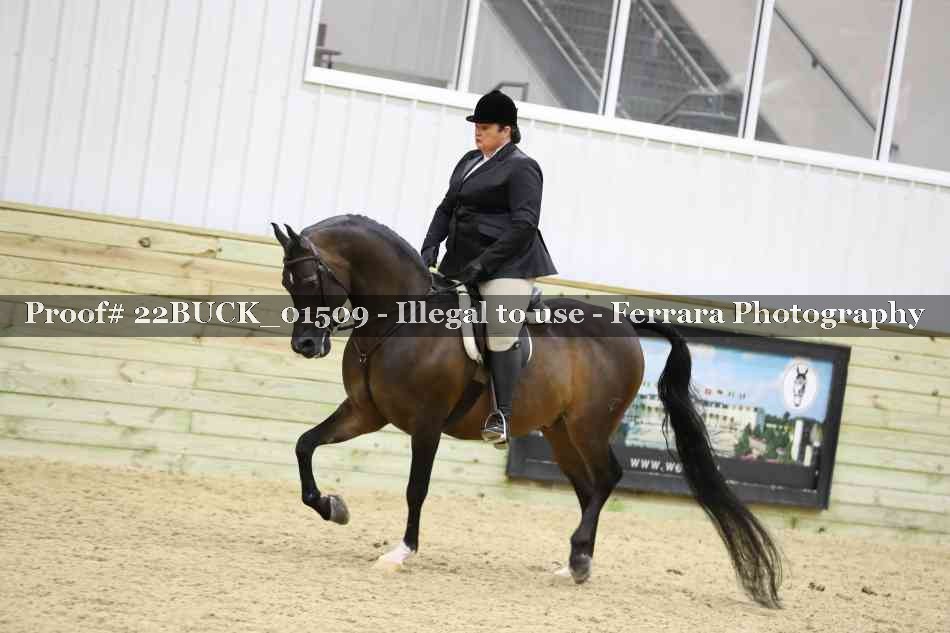 Proof 22BUCK_01509