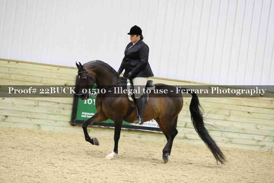 Proof 22BUCK_01510