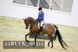 22BUCK_01511 proof