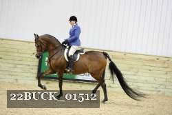 22BUCK_01512 proof