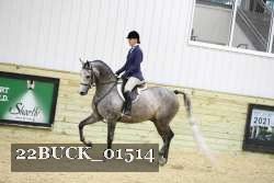 22BUCK_01514 proof