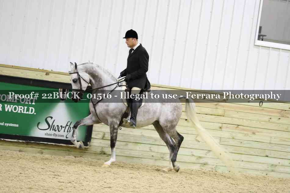 Proof 22BUCK_01516