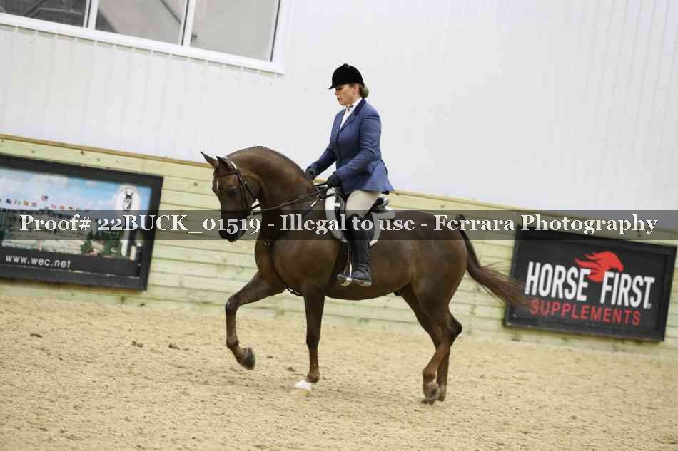 Proof 22BUCK_01519