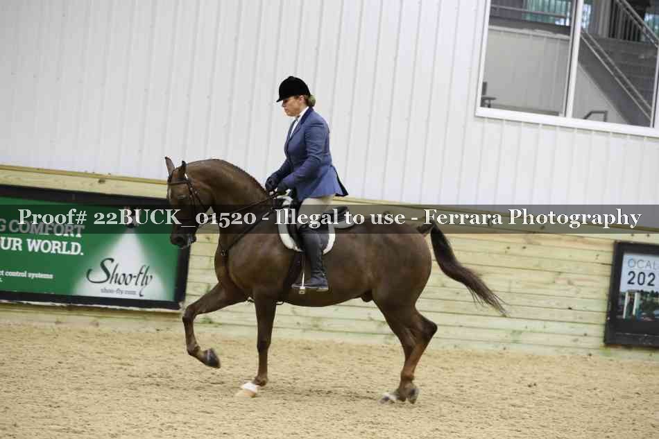 Proof 22BUCK_01520