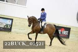 22BUCK_01521 proof