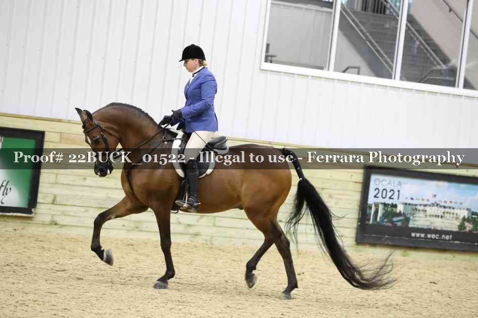 Proof 22BUCK_01522