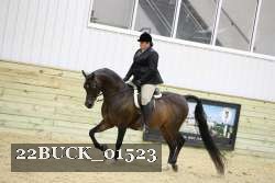 22BUCK_01523 proof