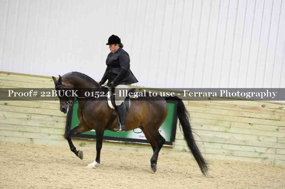 Proof 22BUCK_01524