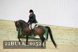 22BUCK_01524 proof