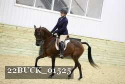 22BUCK_01525 proof