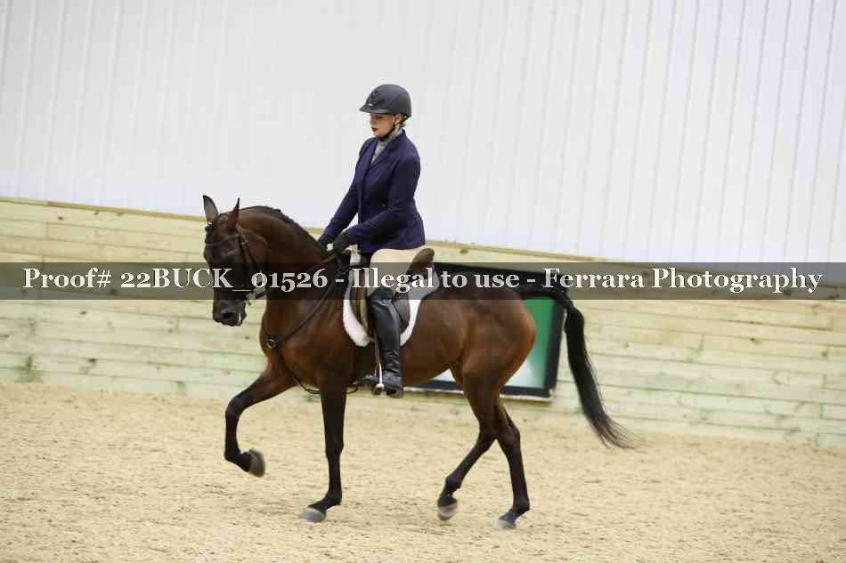 Proof 22BUCK_01526