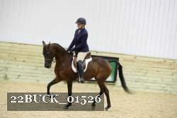 22BUCK_01526 proof