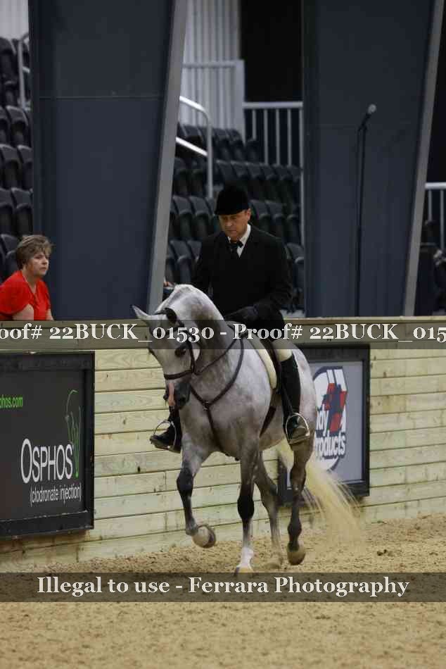 Proof 22BUCK_01530