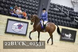 22BUCK_01531 proof