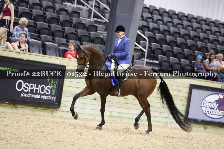 Proof 22BUCK_01532