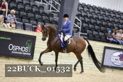 22BUCK_01532 proof