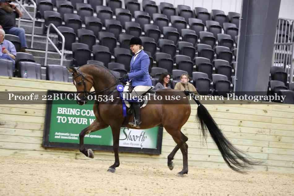 Proof 22BUCK_01534