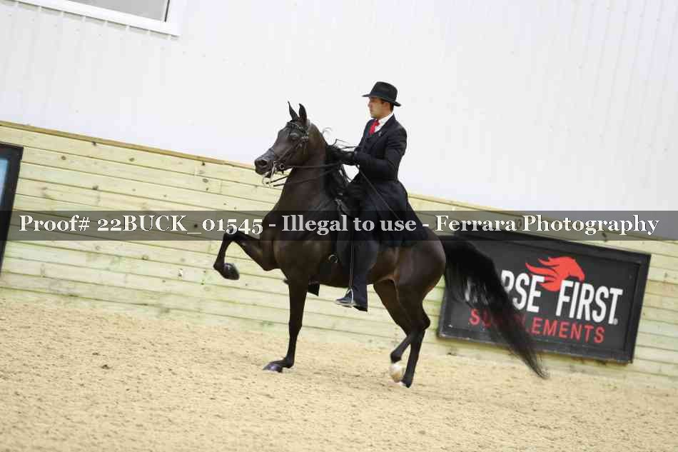 Proof 22BUCK_01545