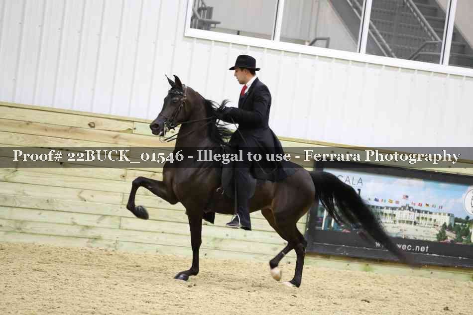 Proof 22BUCK_01546