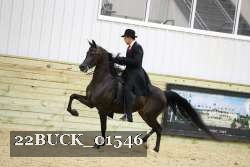22BUCK_01546 proof
