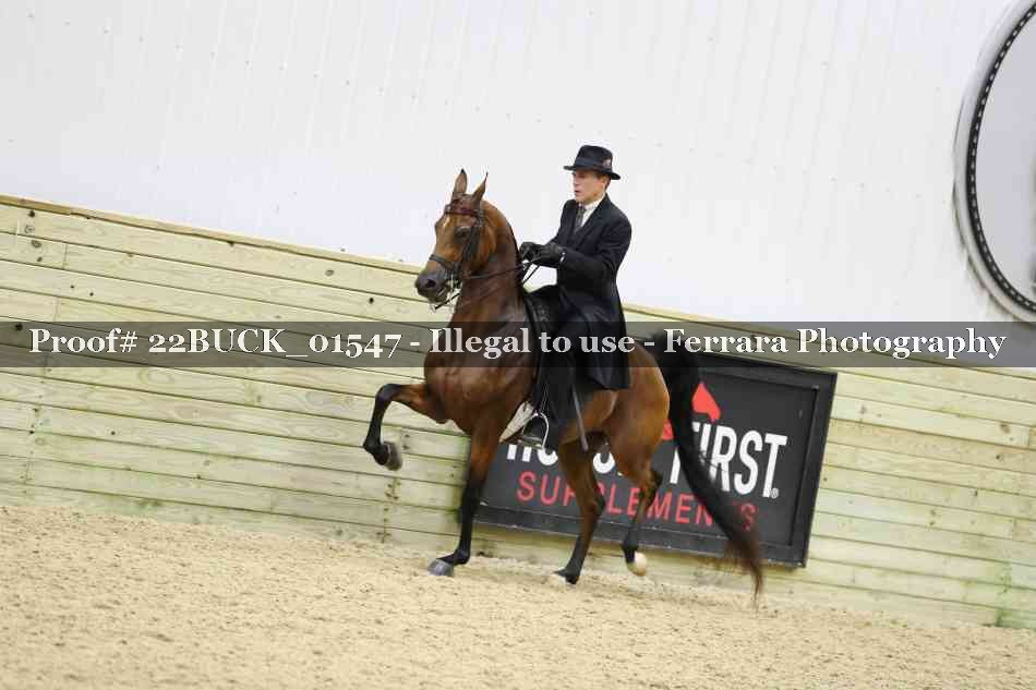 Proof 22BUCK_01547