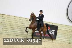22BUCK_01547 proof