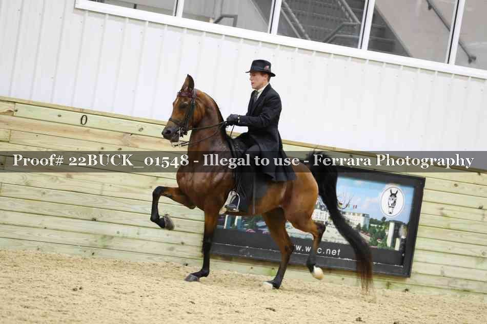 Proof 22BUCK_01548