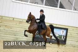 22BUCK_01548 proof