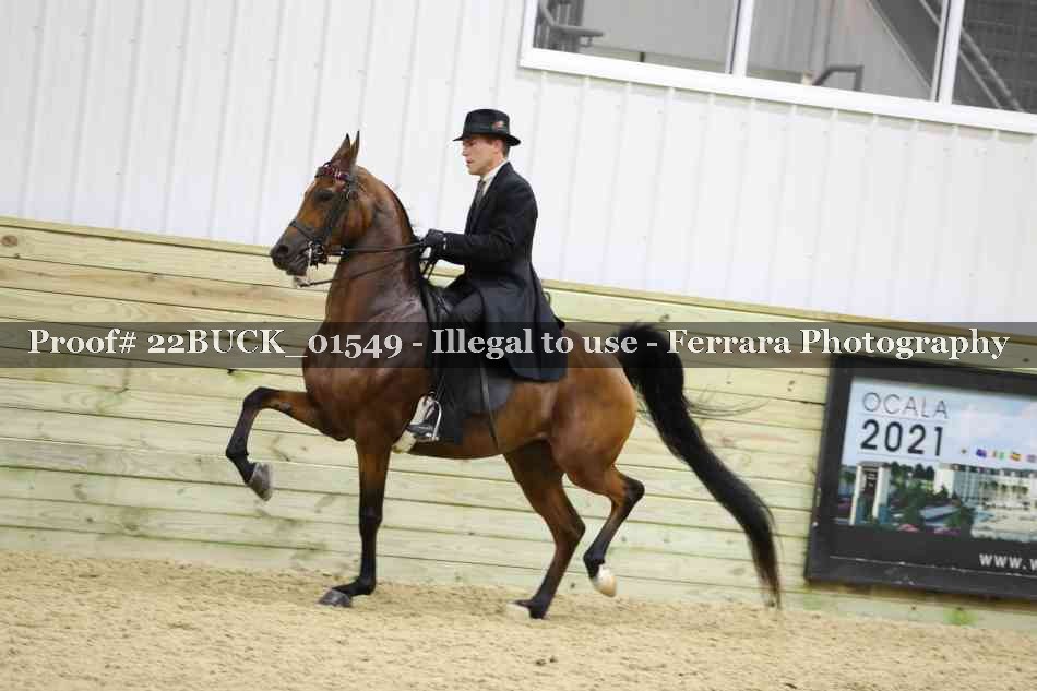 Proof 22BUCK_01549