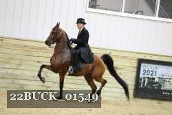 22BUCK_01549 proof