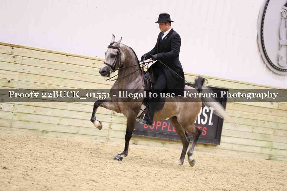 Proof 22BUCK_01551