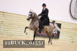 22BUCK_01551 proof
