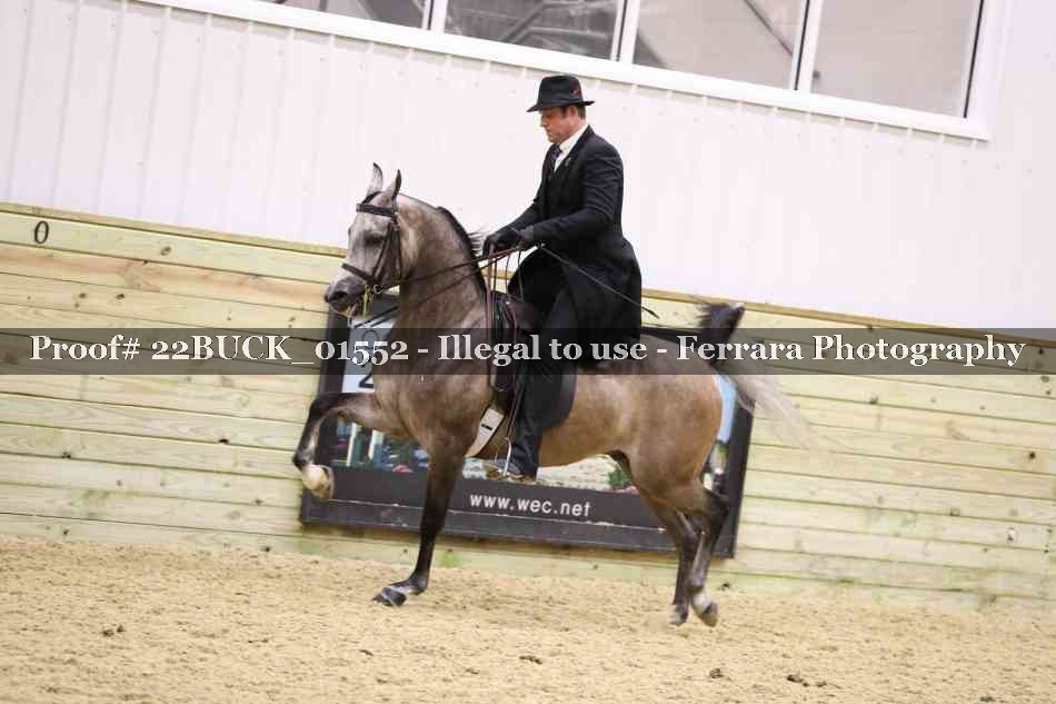 Proof 22BUCK_01552