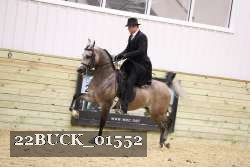 22BUCK_01552 proof